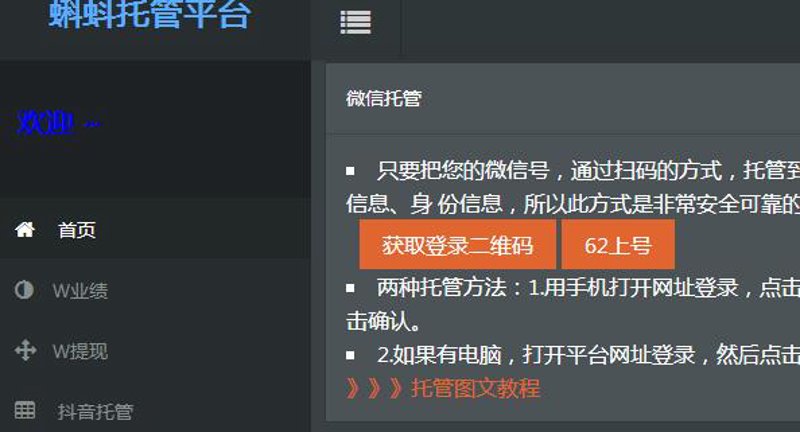 网络世界的多维战场：站群布局的策略与实践