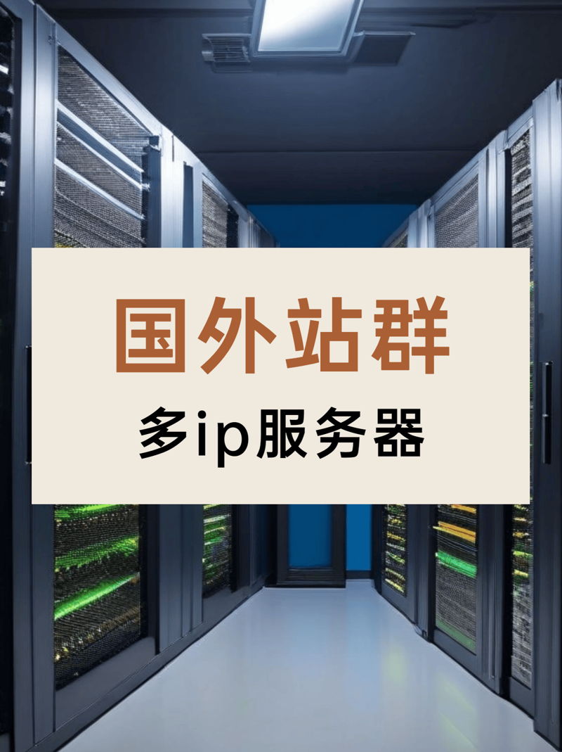 站群系统技术演进与算法环境下的效能评估：基于真实运营数据的深度解析